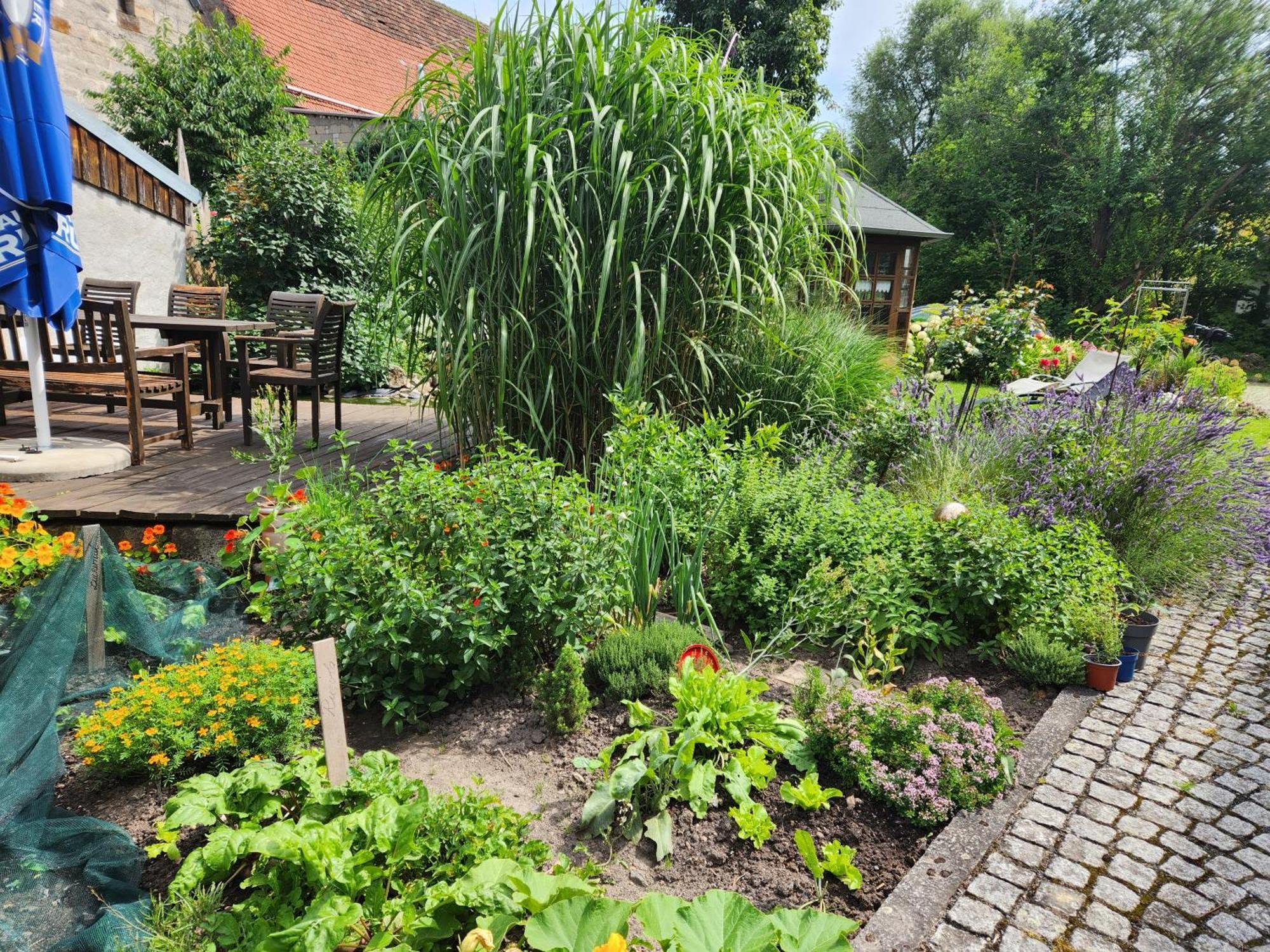 Familienfreundlich Im Naturpark Hassberge Mit Gehobener Gastronomie Kirchlauter Exteriér fotografie